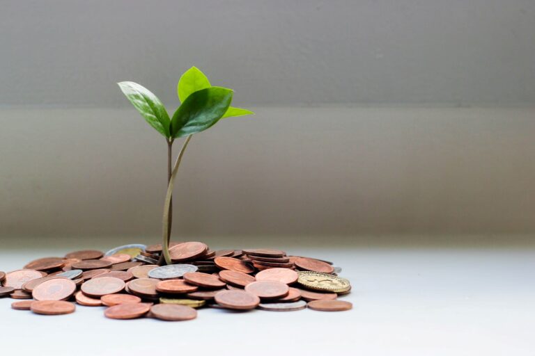 A small plant sprouting from a pile of coins